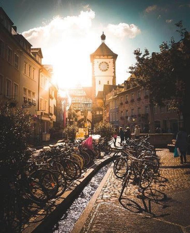 Apartament Studio Rome In Der Altstadt Fryburg Bryzgowijski Zewnętrze zdjęcie